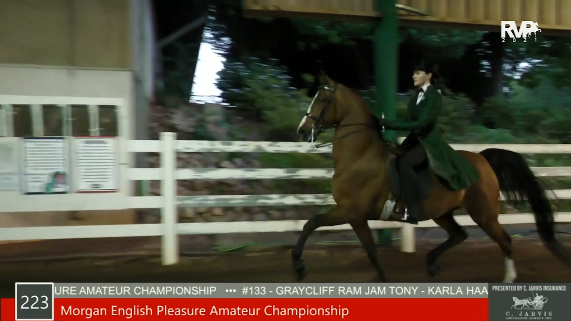 SS21 - Class 223 - Morgan English Pleasure Amateur Championship