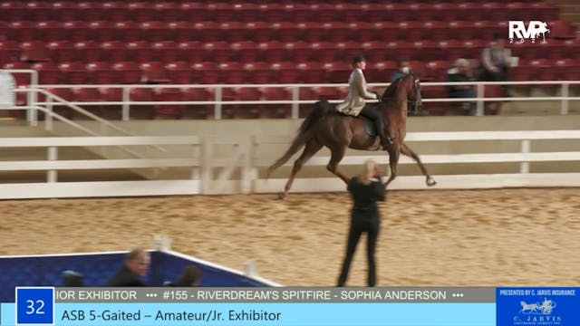 ASW21 - Class 32 - ASB Five Gaited Am...