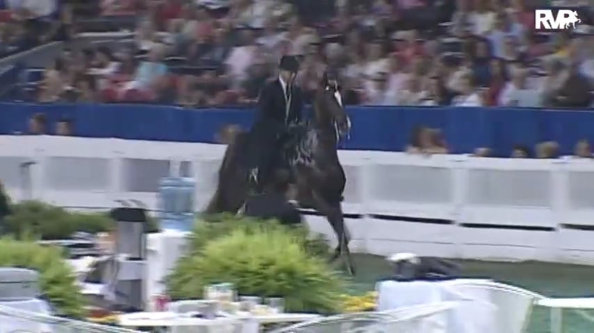 2010 World's Championship Horse Show Class 98 Three Gaited 15.2 & Under Stake