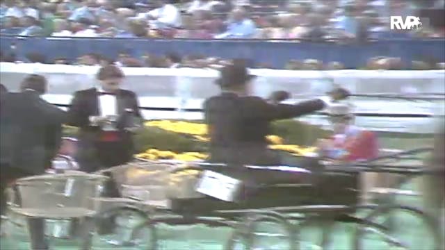 1991 WCHS Class 149 Amateur Fine Harn...