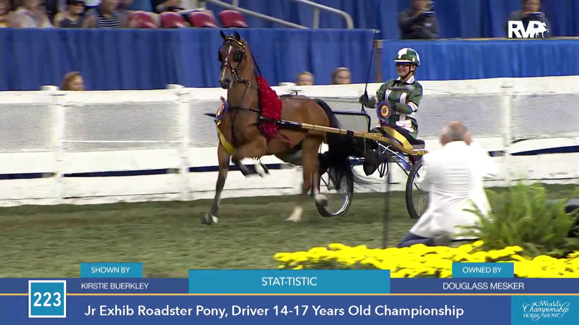 WCHS15 - Stat-tistic - Championship