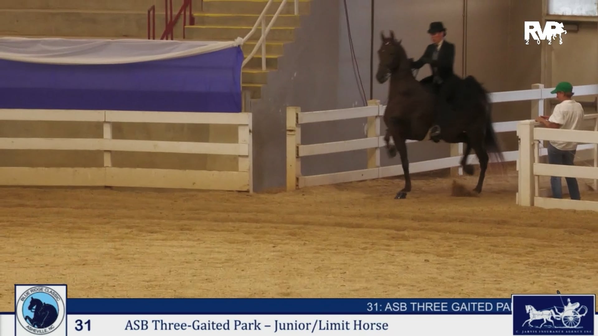 BRC25 - Class 31 - ASB Three Gaited Park  Jr & Limit Horse