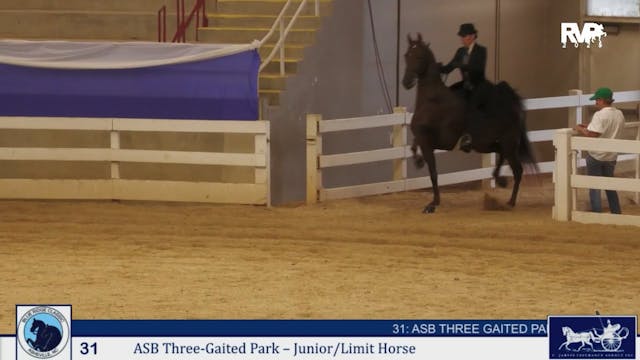 BRC25 - Class 31 - ASB Three Gaited P...