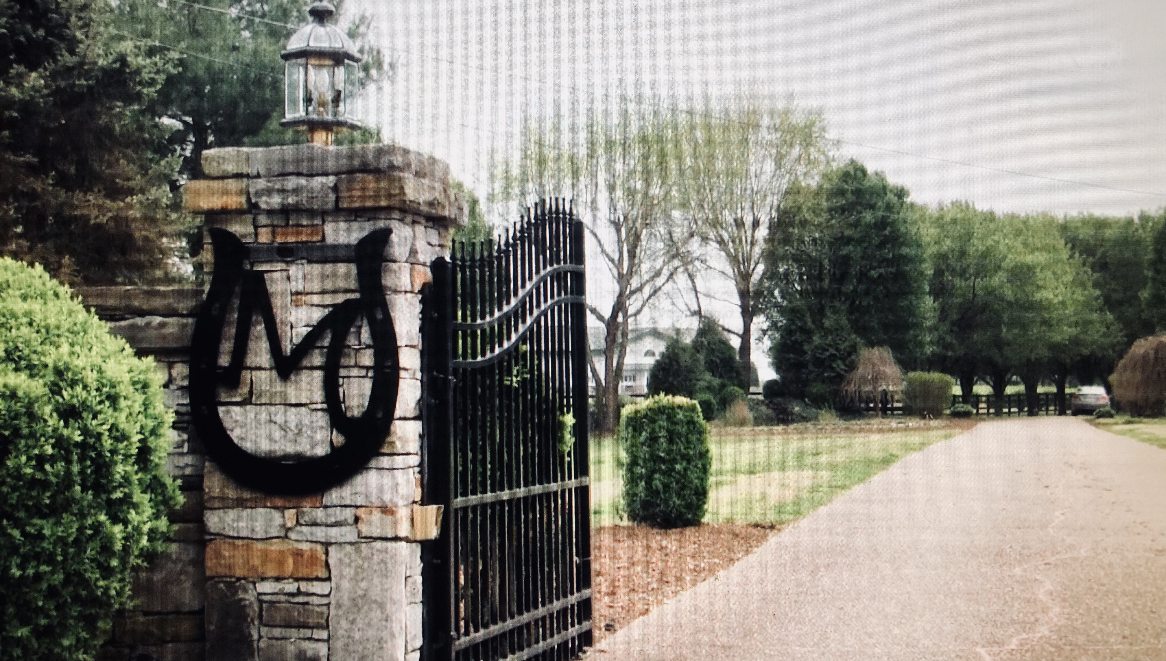 A Visit to Milestone Stables