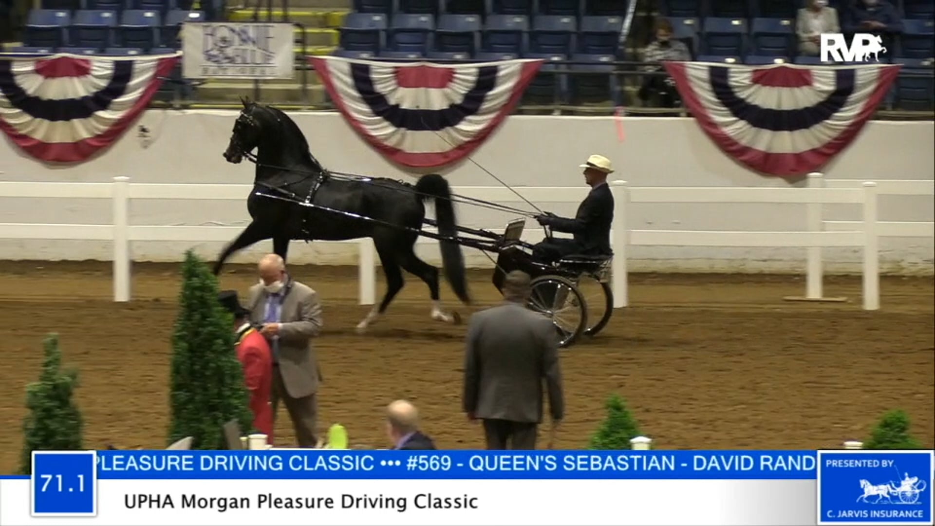 2020 BB - Class 71.1 UPHA Morgan Pleasure Driving
Classic