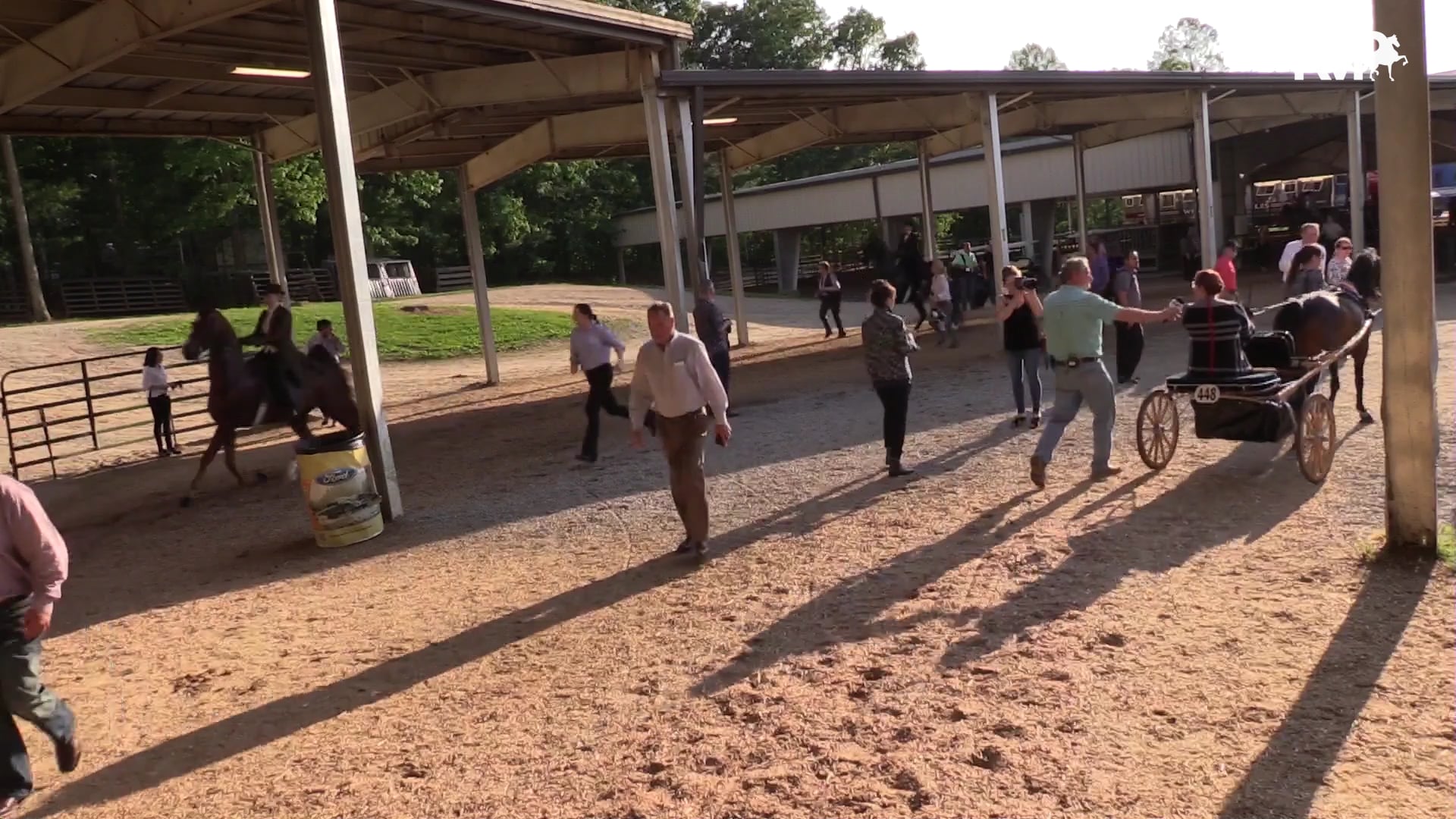 ASC19 - Class 73 - Romeo's Highlander LF