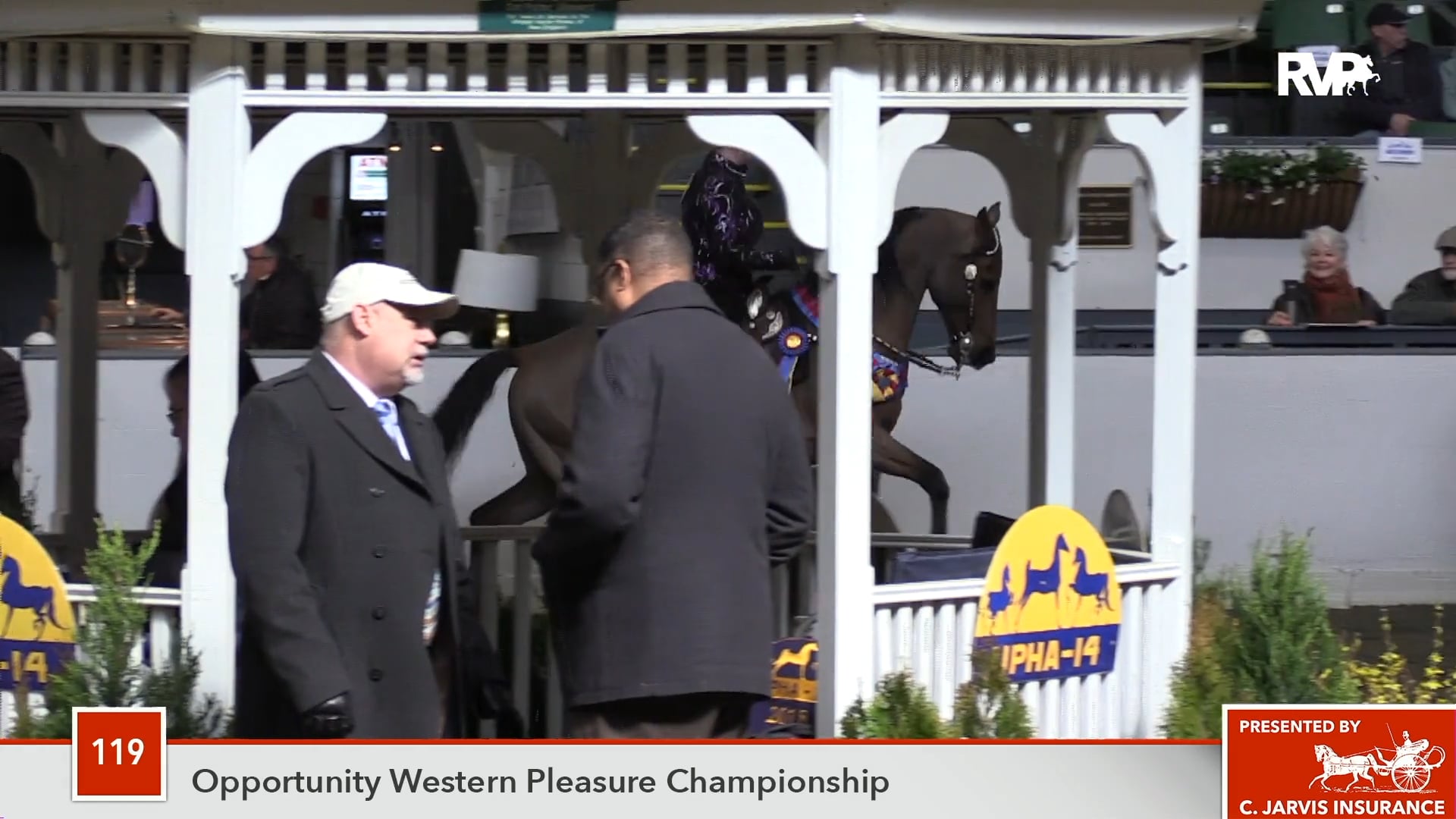 UPHA14-18 Class 119 Gulfwind to the Max