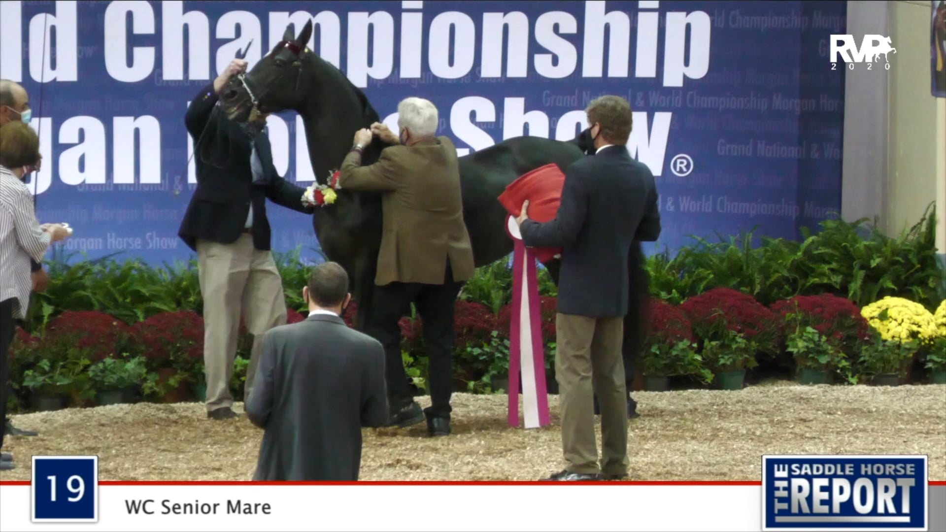 2020 MGN - Class 19 WC Senior Mare