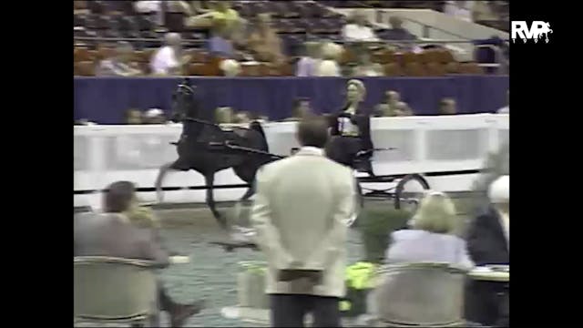 1999 WCHS - Class 133 Harness Pony St...