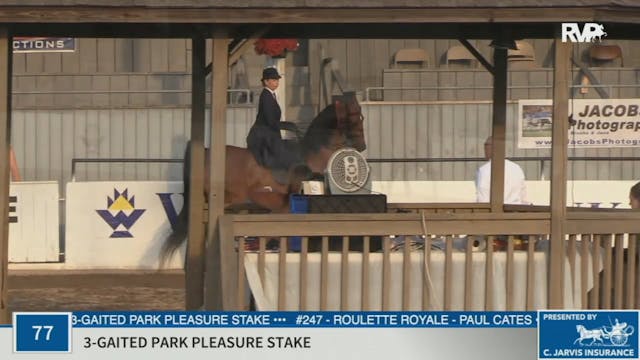 KYSP20 - Class 77 Three Gaited Park P...