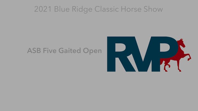 BR21 - Class 28 - ASB Five Gaited Open