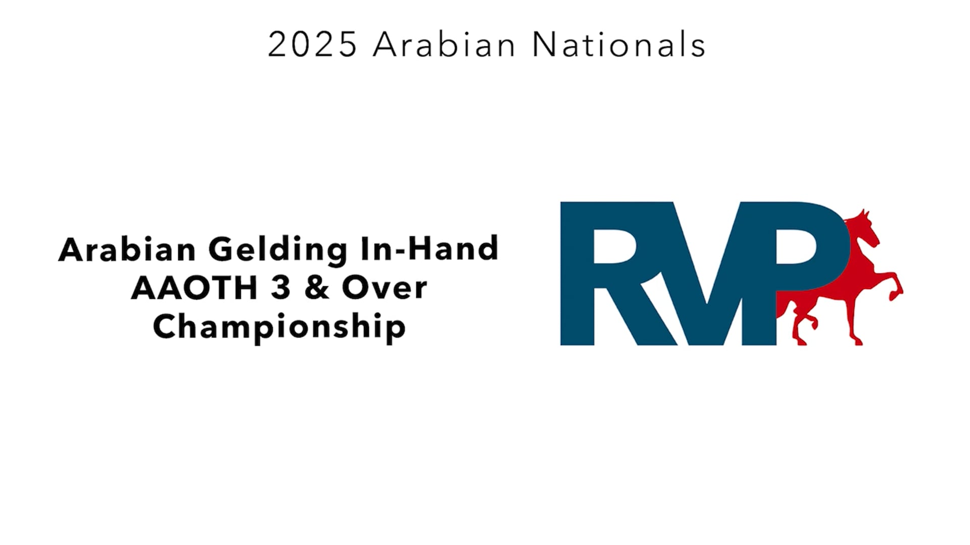 AN25 - Class 30 - Arabian Gelding In-Hand AAOTH 3 & Over Championship