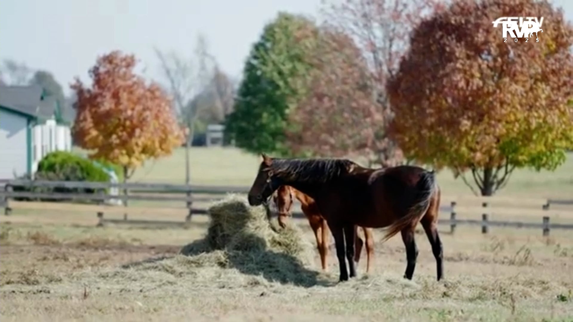 2025 Madison Classic - Sunday Afternoon 
