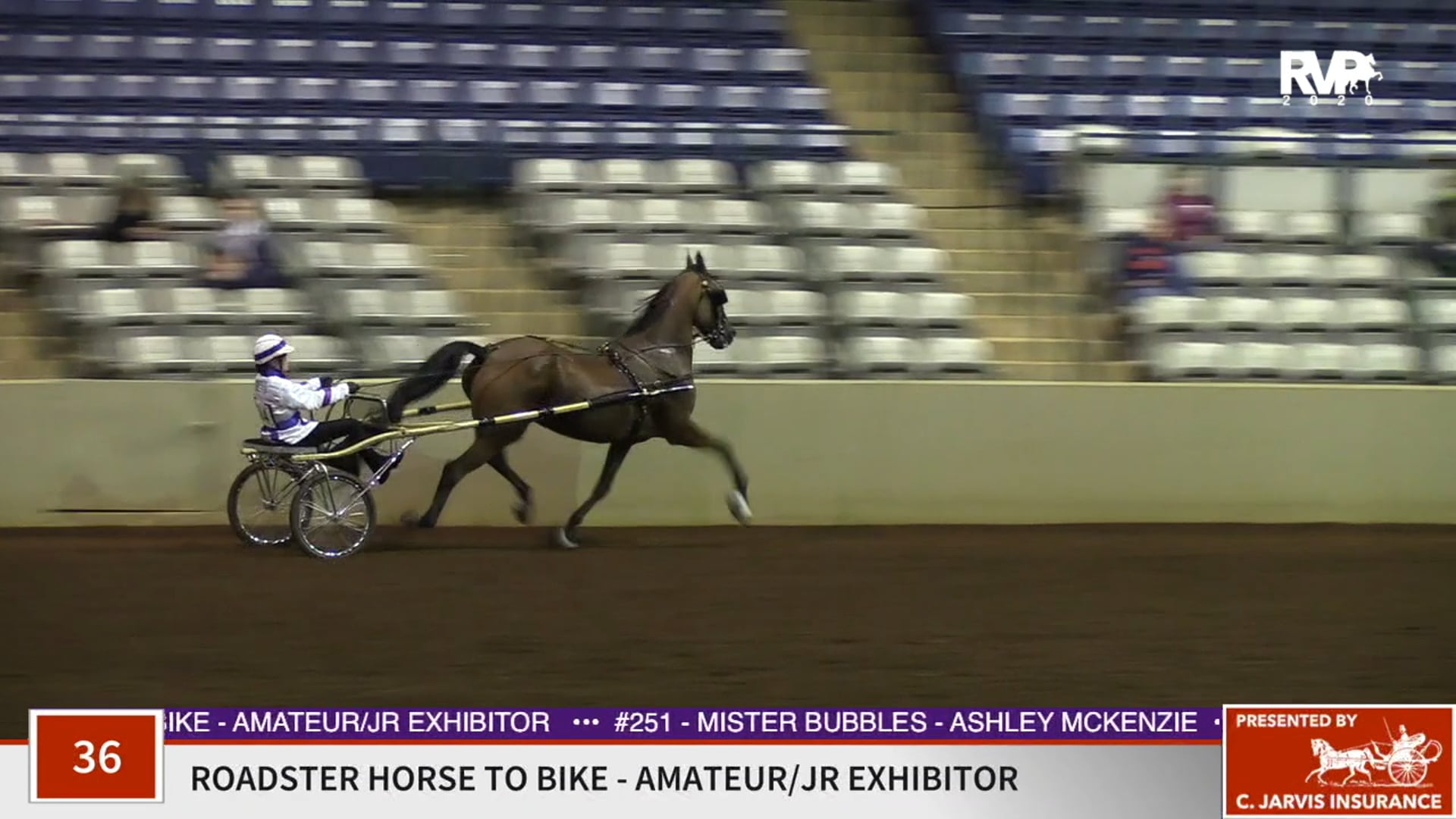 2020 SSFF - Class 36 Amateur:Junior Exhibitor
Roadster Horse To Bike