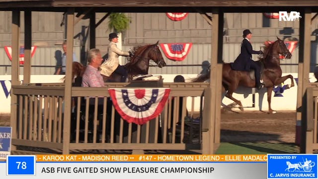 2020 MCF - Class 78 ASB Five Gaited S...