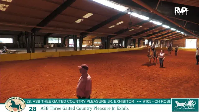 GC26 - Class 28 - ASB Three Gaited Co...