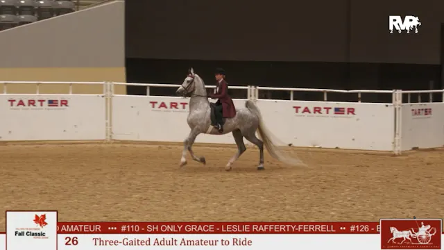 KFC25 - Class 26 - Three Gaited Adult...
