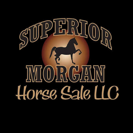 2025 Superior Morgan Sweepstakes - Tu...