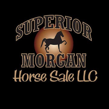 2025 Superior Morgan Sweepstakes - Tu...