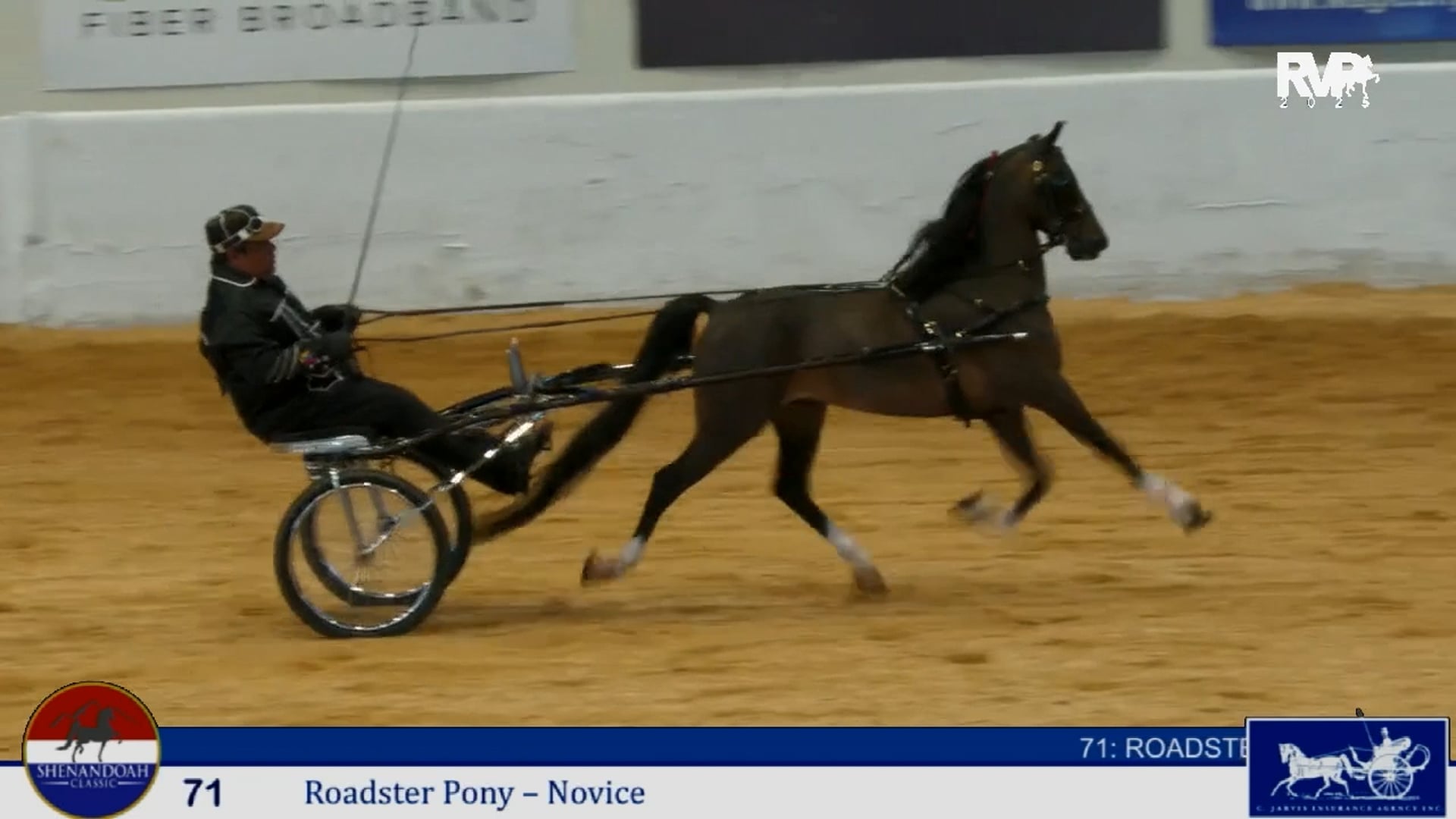 SC25 - Class 71 - Roadster Pony Novice