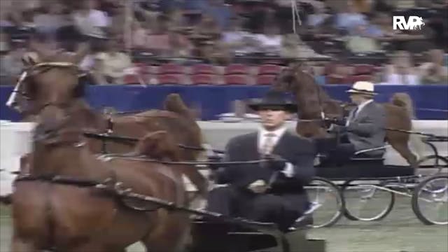 2006 WCHS Class 94 ASR Futurity Of Ke...