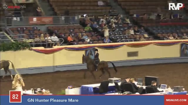 2015 MGN - Class 82 GN Hunter Pleasur...