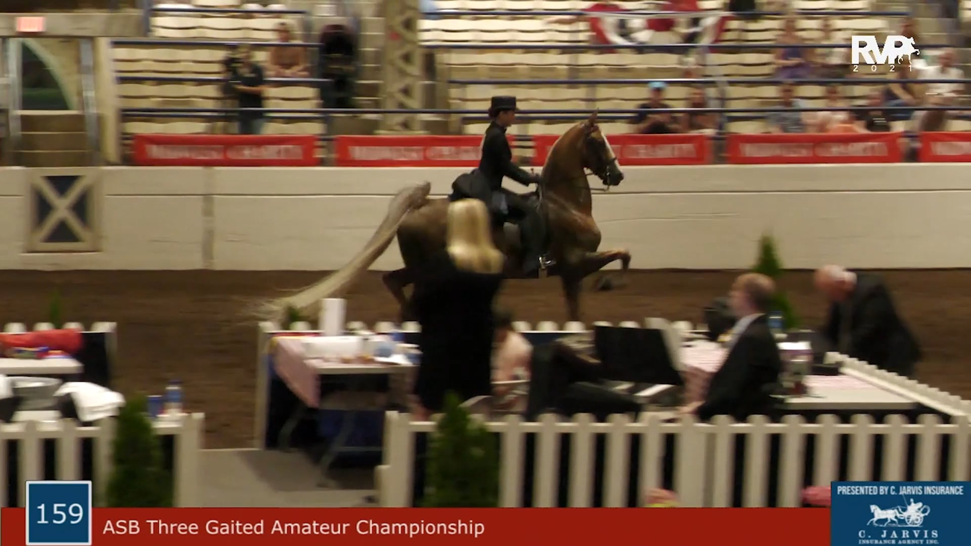 MW21 - Class 159 - ASB Three Gaited Championship