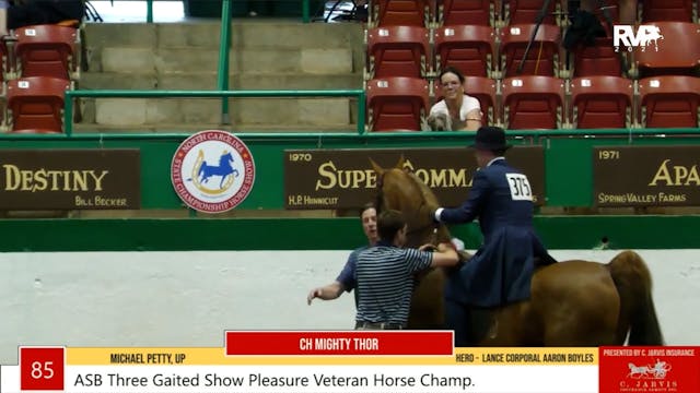 NCSC21 - Class 85 - ASB Three Gaited ...