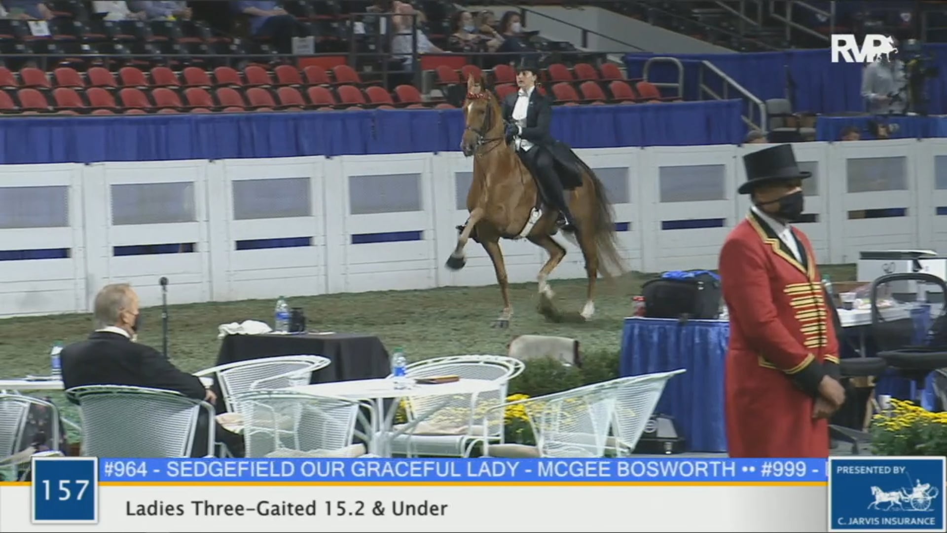 WCHS 2020 Class 157 - Ladies Three-Gaited 15.2 & Under