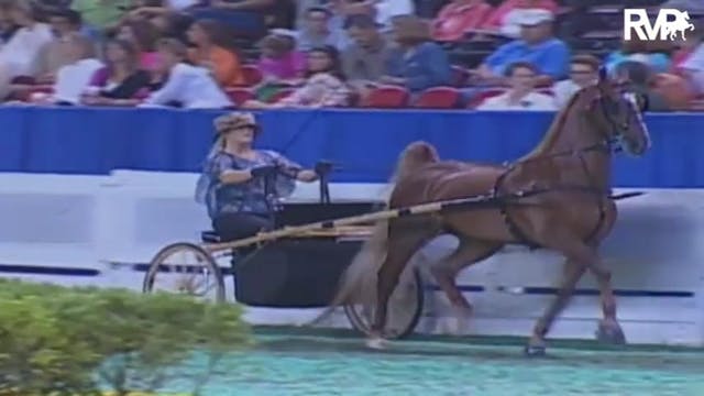 2009 World's Championship Horse Show ...