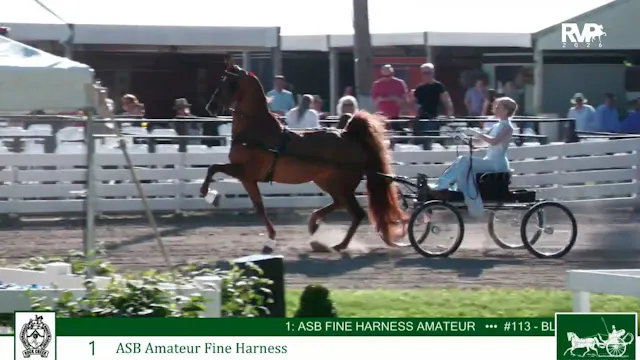 2026 Rock Creek Horse Show - Tuesday ...