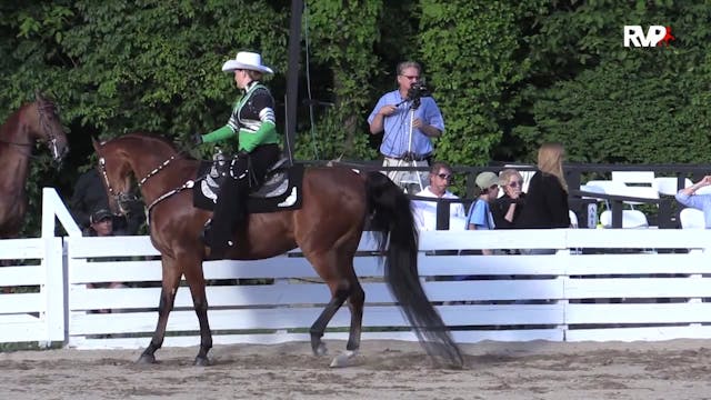 RC15 - Class 46.2 - Saddle & Bridle W...