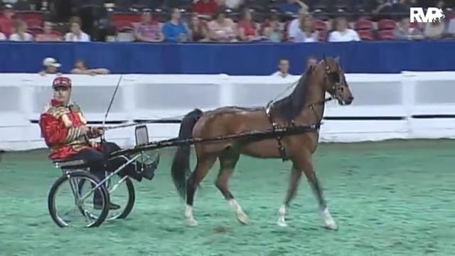 2010 World's Championship Horse Show ...