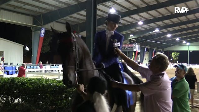 SEC16 - CH Brookhill's Periday