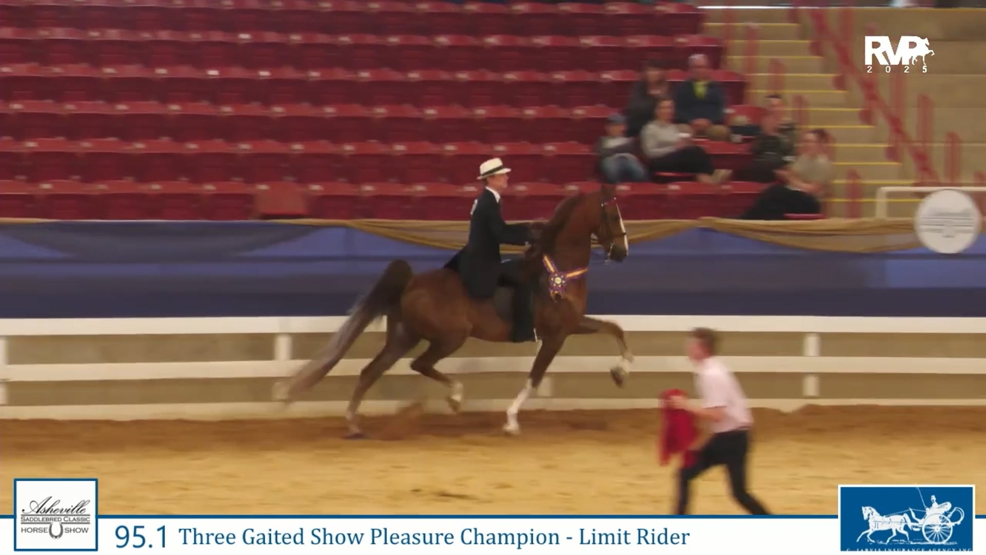 ASC25 - Class 95.1 - Undulata's Witch Doctor and Travis Winkler, Up