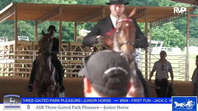 CTS25 - Class 8 - ASB Three Gaited Pa...