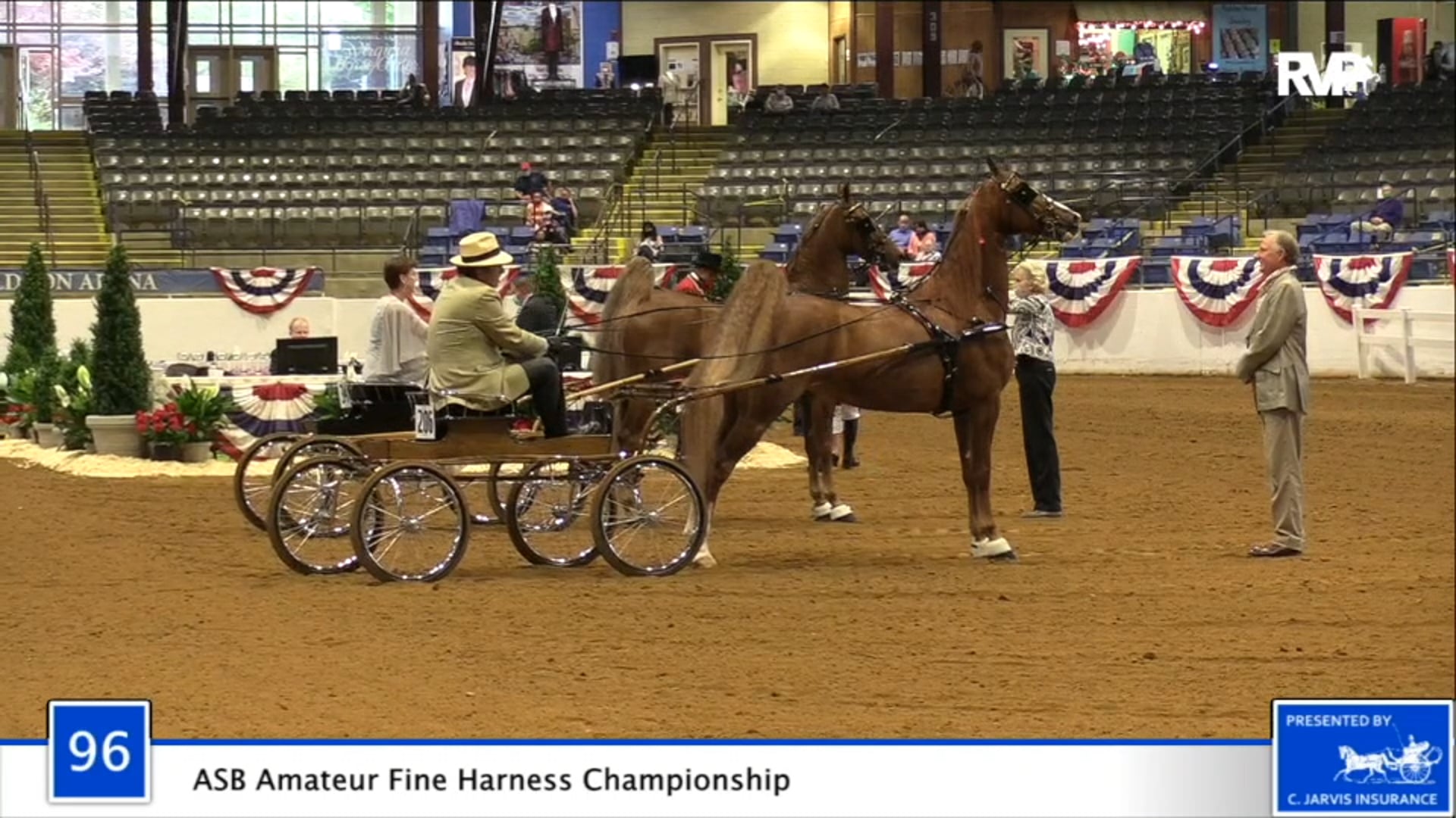 2020 BB - Class 96 ASB Amateur Fine Harness
Championship