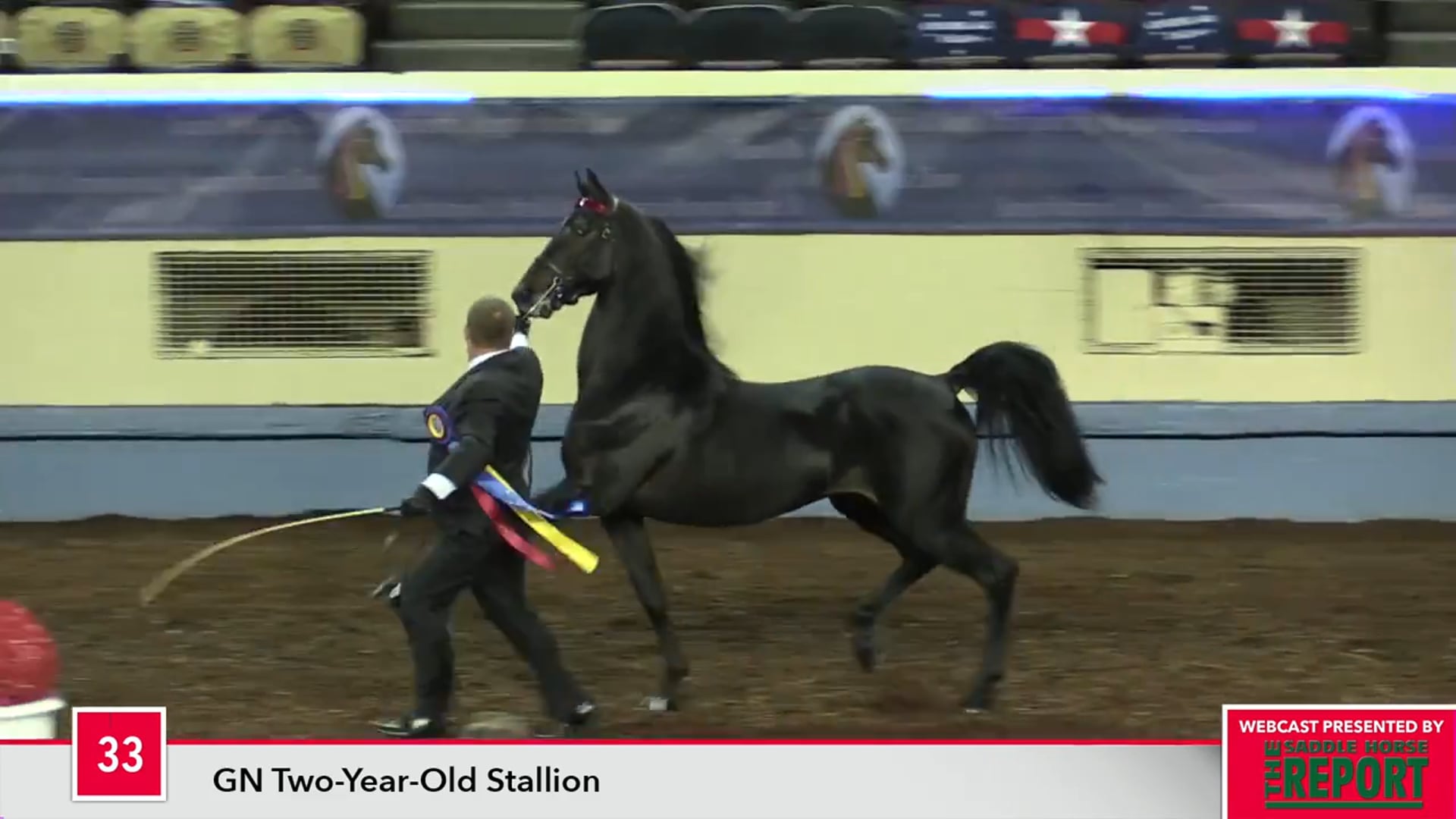 MGN17 - Class 33 - EKL Shake It Off
