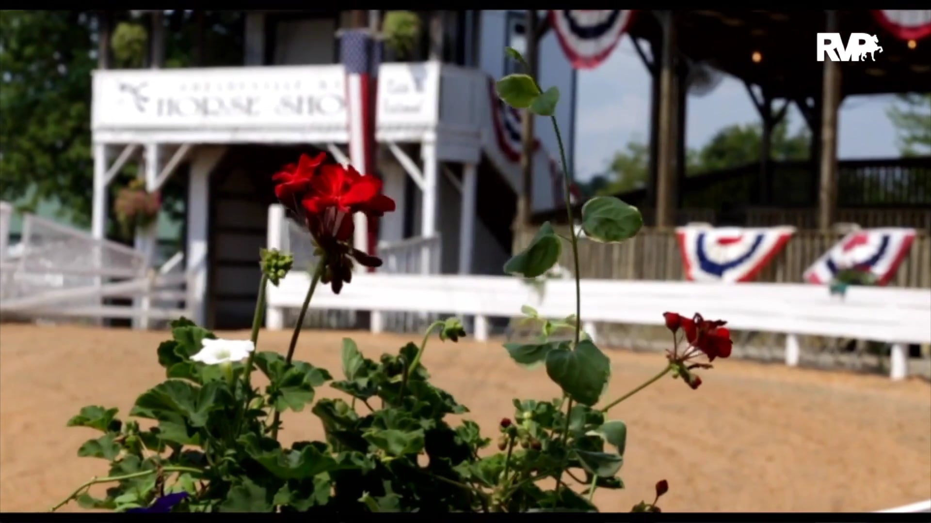 2019 Shelbyville Horse Show - Friday Evening