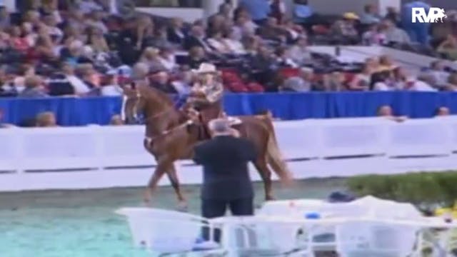 2009 World's Championship Horse Show ...