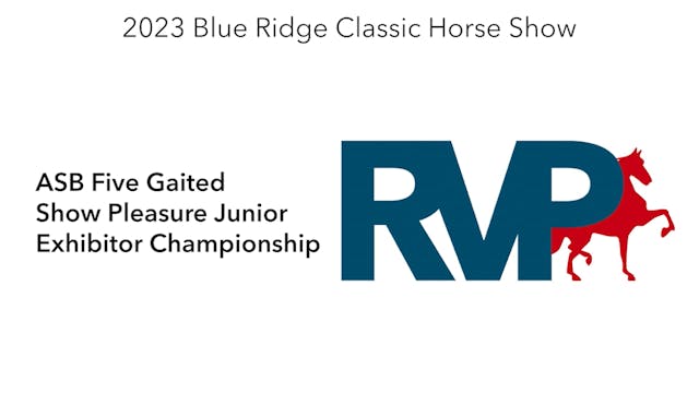 BR23 - Class 196 - ASB Five Gaited Sh...