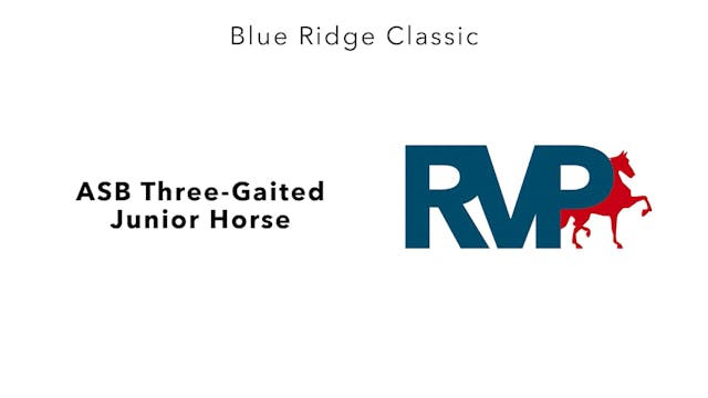 BR24 - Class 28 - ASB Three-Gaited Ju...