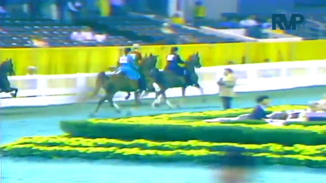 1987 WCHS Class 23A Three Gaited Plea...