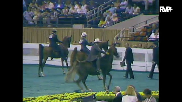 1988 WCHS Class 3 Junior Three Gaited...