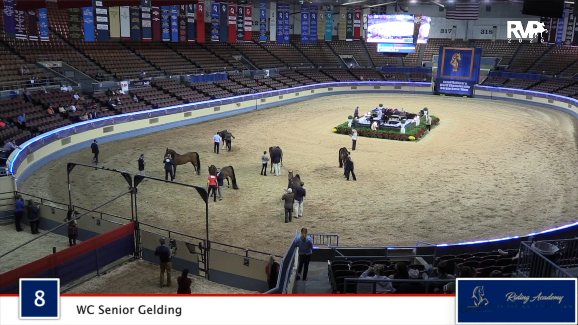 2020 MGN - Class 8 WC Senior Gelding