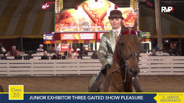 2015 RC - Class 20 Junior Exhibitor T...