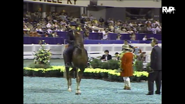 1999 WCHS - Class 54 Amateur Five Gai...