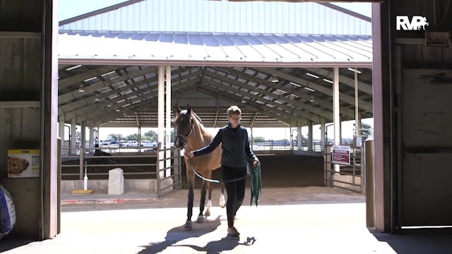 MGN19 - Class 509 - GN Dressage First...