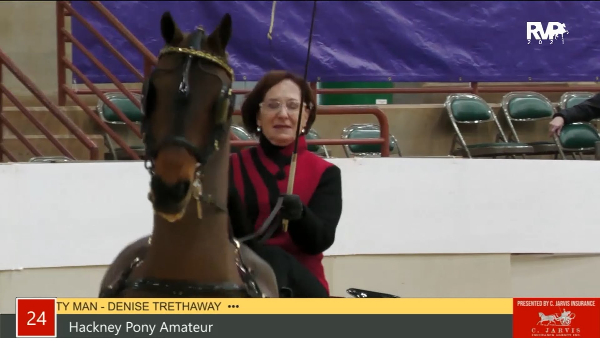 PA21 - Class 24 - Hackney Pony Amateur