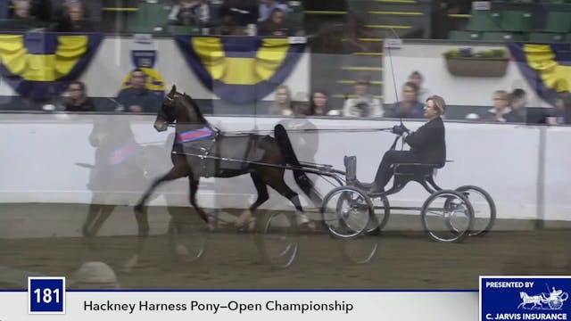 UPHACh14 17 - Royal Image - Championship